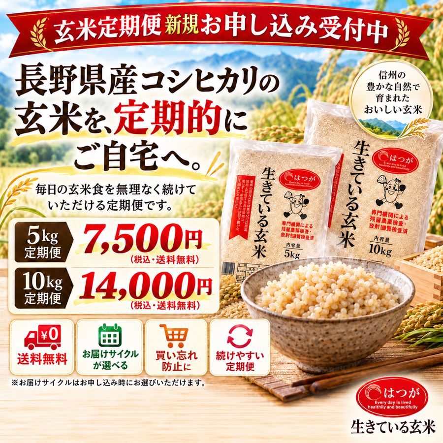 玄米のご案内